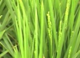 04 (1)